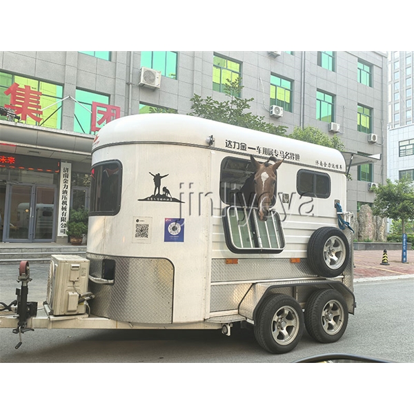 安徽运马车