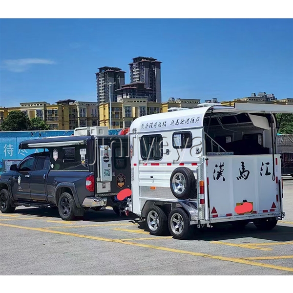 安徽两马位马车